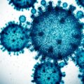 Bacteria on the International Space Station Mutates into Something Never Seen Before on Earth