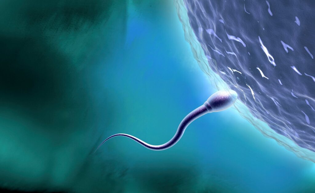 Scientists Stunned As Sperm Defies Newton’s Third Law Of Motion