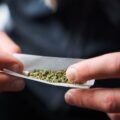 New Study Reveals Exactly How Cannabis Can Impact Your Brain