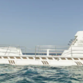 Tourist Submarine Sinks in the Red Sea, Leaving at Least Six Dead