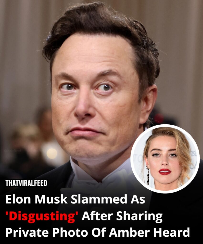 Elon Musk slammed as ‘disgusting’ for sharing private photo of Amber Heard.