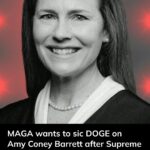 MAGA supporters want to ‘Sic DOGE’ on Amy Coney Barrett when the Supreme Court blocks the spending freeze.