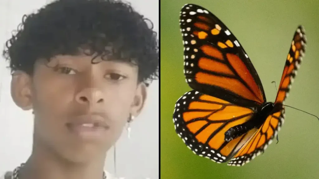 Boy, 14, Dies After ‘Injecting Himself With Butterfly’ in Horror ‘Online Challenge’