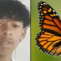 Boy, 14, Dies After ‘Injecting Himself With Butterfly’ in Horror ‘Online Challenge’