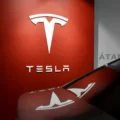 Tesla in Turmoil: Top Investor Calls for Elon Musk to Step Down