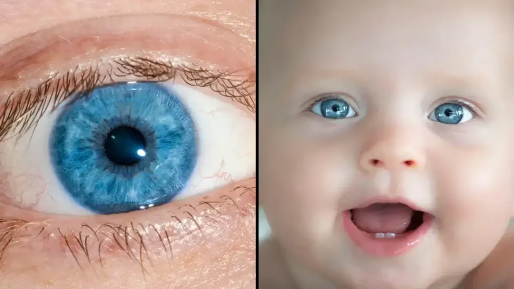 All Blue-Eyed People Have This One Thing in Common