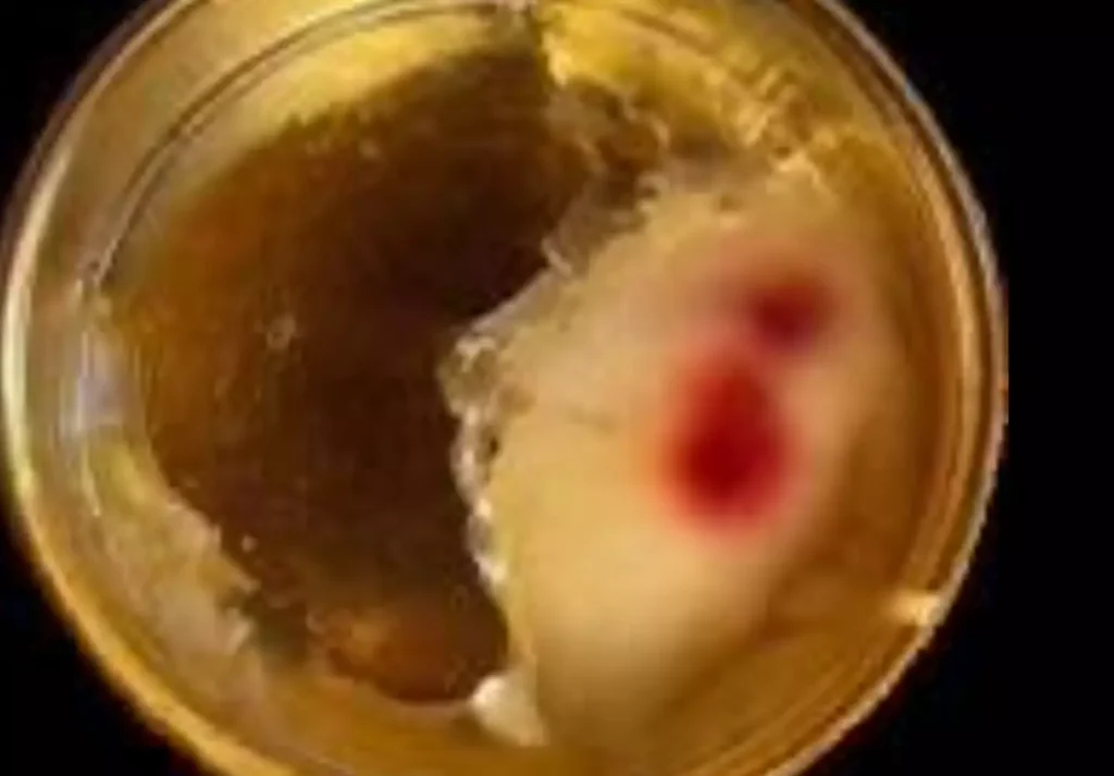 The Truth Behind ‘Miracle’ Communion Wafers at Indiana Church Leaves Many Stunned