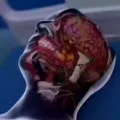 What Really Happens to Our Brains Within 10 Minutes of Dying? A Jaw-Dropping Simulation Sheds Light