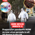 Experts issue terrifying warning to America: Prepare for pandemic NOW as new virus spreads to all 50 States