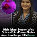 Healing from Heritage: Native Teen Scientist Finds Cancer-Fighting Potential in Chokeberry Pudding