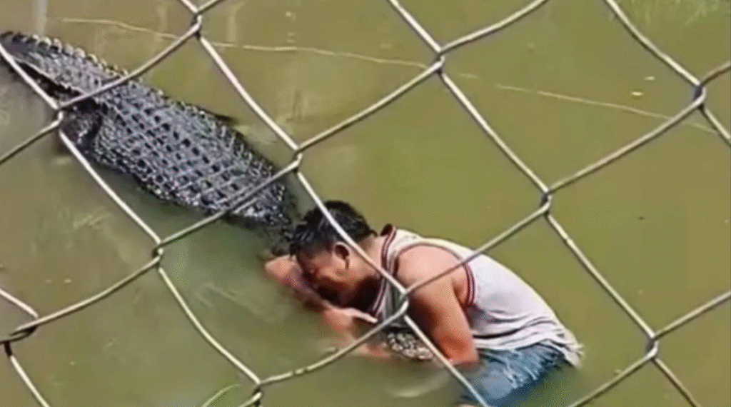 Tourist’s Selfie in Crocodile Pit Ends in Tragedy