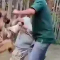 Shocking Moment Tourist Is Mauled by Tiger While Attempting Selfie at Private Wildlife Park