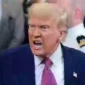 White House in Turmoil After Leaked Report Contradicts Trump’s ‘Obliteration’ Boast Over Iran Strikes