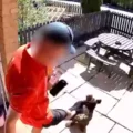 Outrage as Royal Mail Postman Caught Kicking Beloved Puppy in Disturbing Incident