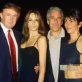 Elon Musk’s One-Word Bombshell: The Epstein Files, Trump, and a Battle for Transparency