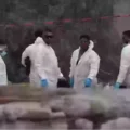 “Valley of Silence”: Nearly 400 Bodies Found Abandoned at Crematorium Near U.S.–Mexico Border